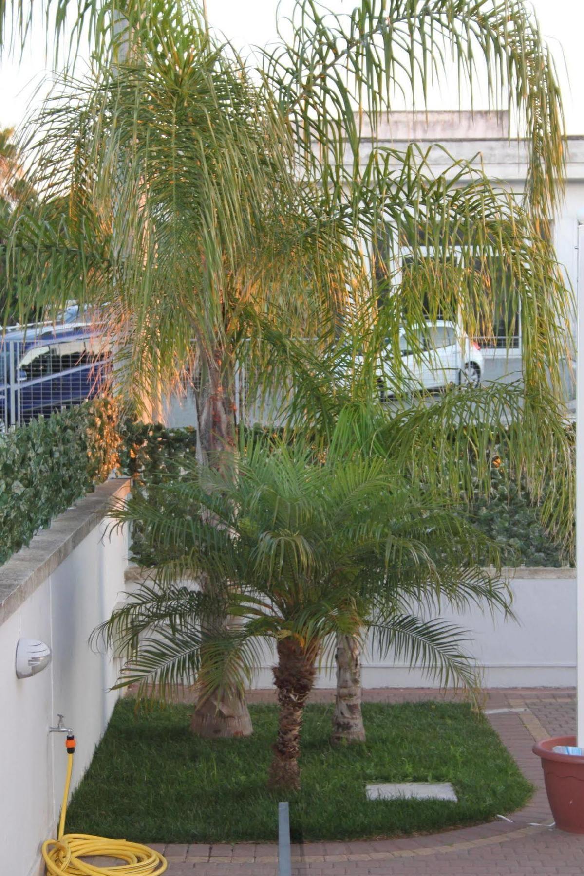 Kalinifta Residence カルピニャーノ・サレンティーノ エクステリア 写真